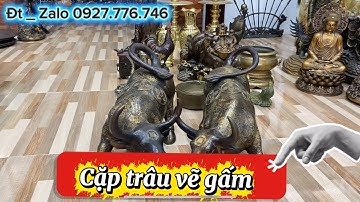 Cặp trâu đồng vẽ gấm _ cặp bình tứ linh _ nồi đồng xưa. Ngày 3/12/2025 #đồđồngnguyễnnghi 