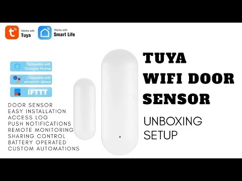 Tuya WiFi Door