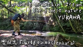 【テンカラ(Tenkara)】The finest nature. Japanese mountain stream『YUKAWA』 奥日光『湯川』fishing