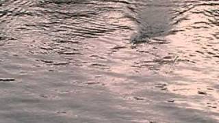 MOV073