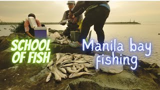 SCHOOL OF FISH SA MANILA BAY | SALMON,DILIS,TANIGUE ATIBP
