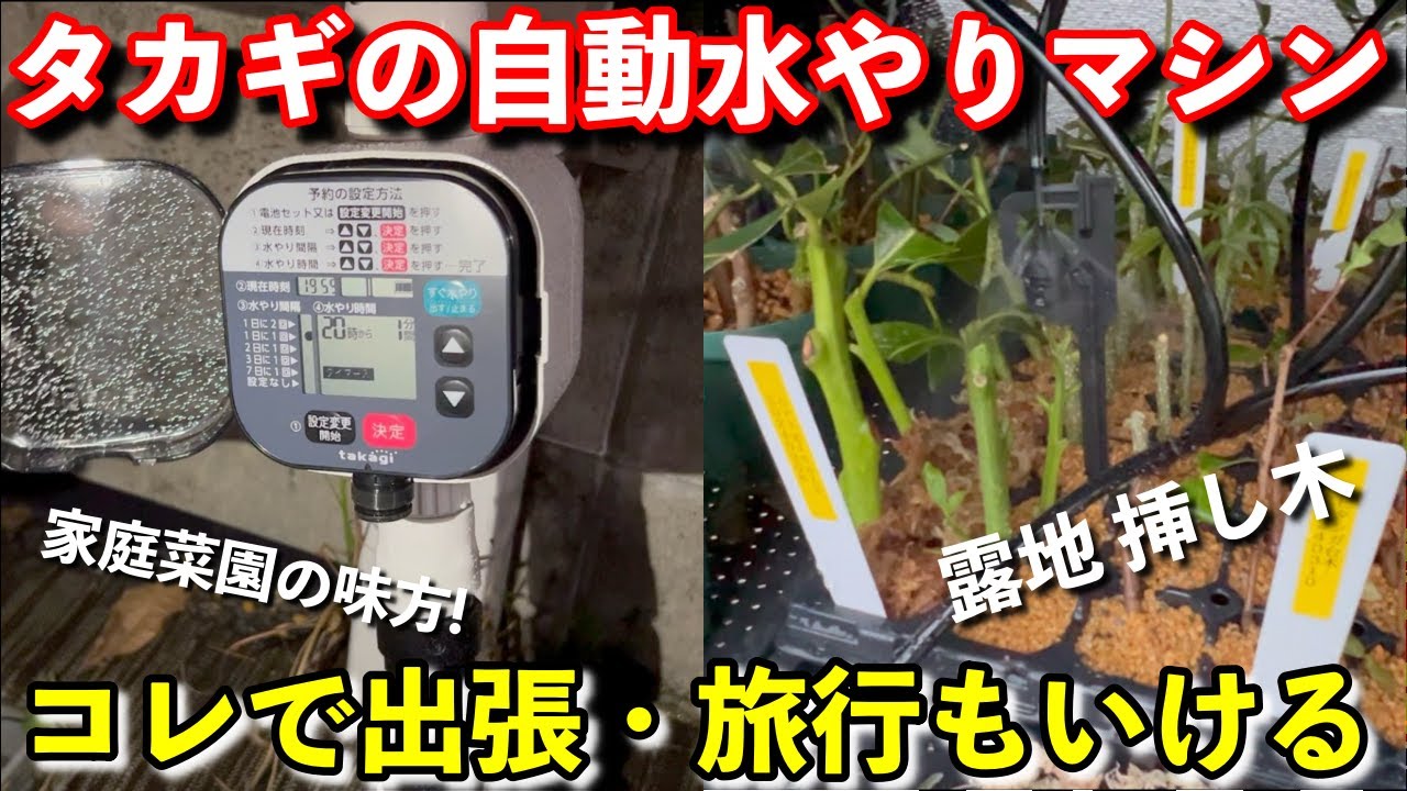 A great ally for home gardening] Just plug it in! I tried out an