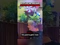 Entitled Sisters Have An Extreme Meltdown #police #bodycam