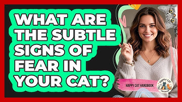 What Are The Subtle Signs Of Fear In Your Cat? - Happy Cat Handbook