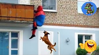 TRY NOT TO LAUGH!!! 🤣🤣🤣 #94