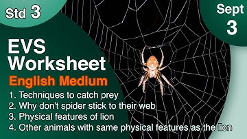 Class 3 EVS Worksheet English Medium September 3 itsvicters