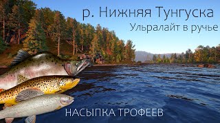 Русская Рыбалка 4 | НИЖНЯЯ ТУНГУСКА | Ультралайт в РУЧЬЕ ✅ Закрыл ДВА трофея ⭐