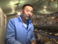 Репортаж - Нейчурал Агро - Кыргызстан