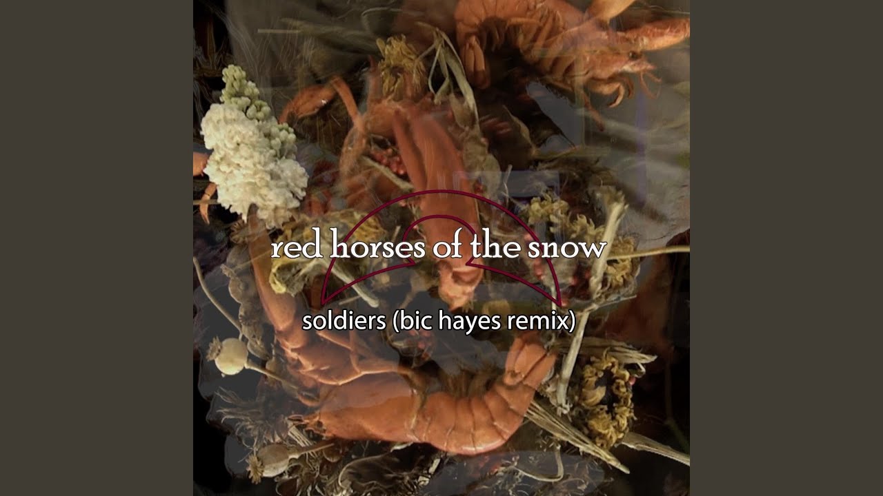 Soldiers (Bic Hayes Remix)
