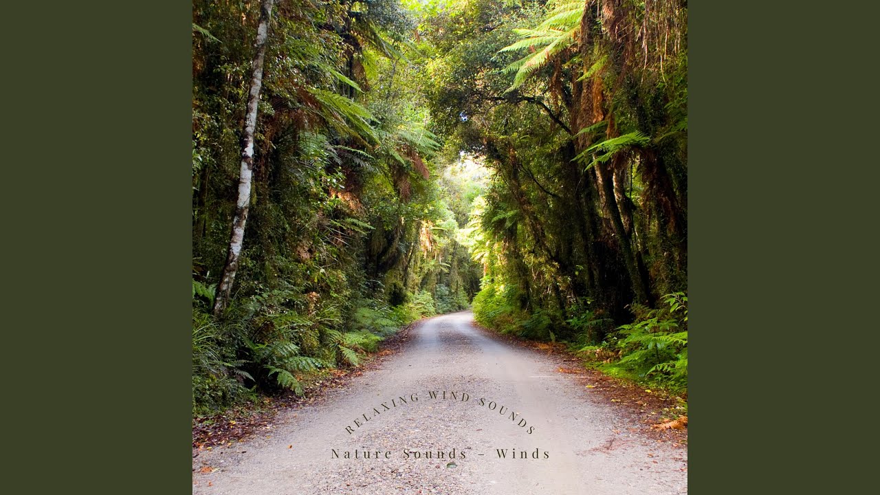 Sleduj Gentle Winds na YouTube