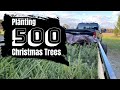 Planting 500 Christmas Trees at Michigan Pines Farm | our first fall | how to plant pine trees