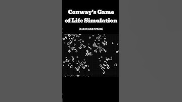 Black and White Conway