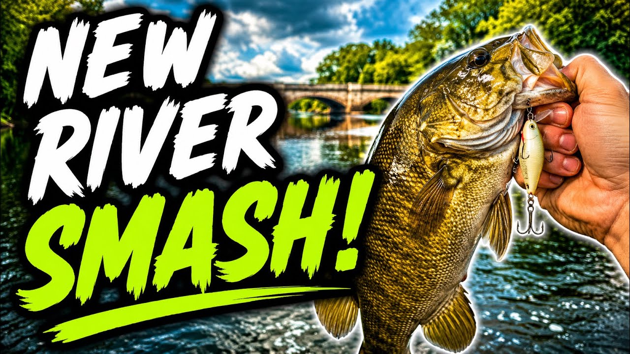 Fishing a NEW RIVER for smallmouth BASS
