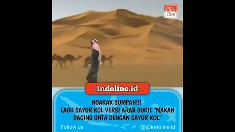 sayur kol arab