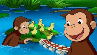 George Builds a Bridge!  🐵 Full Episodes 🐵 Curious George | Animal Friends