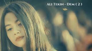 Ali Tekin - Dem 2 ( Lyric Video ) Resimi