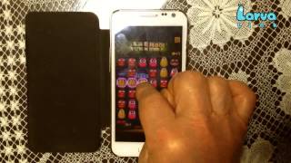 Larva Link North America Larva Link Logo Version