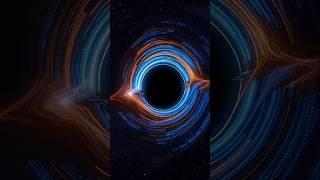 The One Mistake Stephen Hawking Ever Admitted To. Net Worth