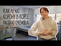 КАК ЛЕЧАТ КОРОНУ В КОРЕЕ - Рассказ очевидца!