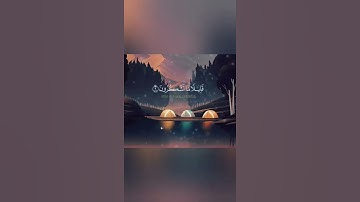 صوت هادئ يريح الاعصاب |  🌹 تلاوة مرئية لآية تأخذك إلى عالم من الهدوء والسكينة😴 #islamicstatus #short