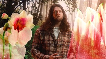 HOUNDS - "Three Hits of Acid" (Official Music Video)