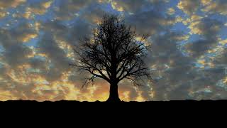Soft Music For The Soul, The Best Music To Relax The Brain And Sleep, Calm The Mind, Relaxing Music. screenshot 4