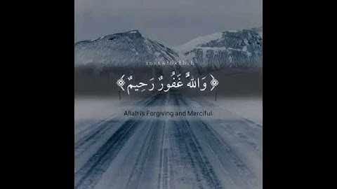 أفلا يتوبون إلى الله ويستغفرونه بكاء شديد #تلاوة_مبكيه
