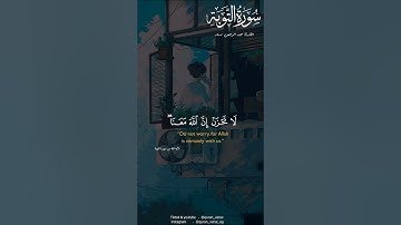 قرآن كريم بصوت عبد الرحمن مسعد | الا تنصروه فقد نصره الله | حالات واتس اب دينية