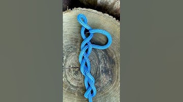 Knot of the Day - Single Rope Braid | Tutorial #shorts (More info in description)