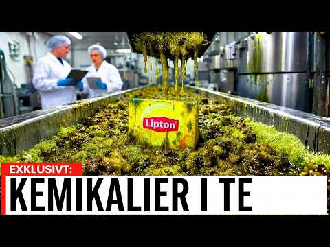 8 Temärken Du Bör Undvika thumbnail