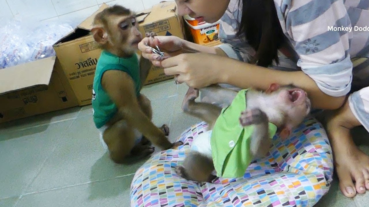 Oh Dodo Super Spoil He Try Disturb Mom Clean Nail For Donal