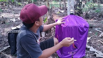 Tak Kalah Akal Untuk Mendapatkan Sirpu,Sirtu Mata Hitam