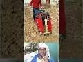 দানবের মতো শক্তিশালী ছোট যন্ত্র পিছনের দিকে হেঁটে জমি চাষ করছে #farming #machine #shorts #video
