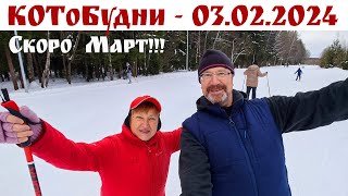 Скоро МАРТ - говорят Коты и они, наверное, правы! КОТоБудни от 03.02.2024г.  |  Moscow, online