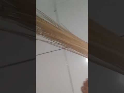 Kecoa ngesot (part1)