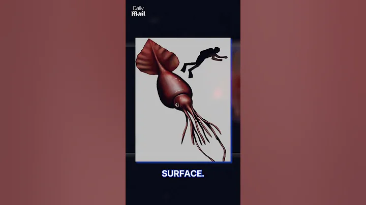 🌊🦑 Dive into the Deep with the COLOSSAL SQUID! 🦑🌊 #trending #ytshorts #seamonster #sea #viralvideo