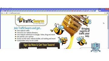 V2   What Is Traffic Exchange