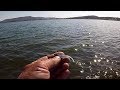 Crappie Fishing From The Bank With The Double Jig Rig - SLAB CRAPPIE!!