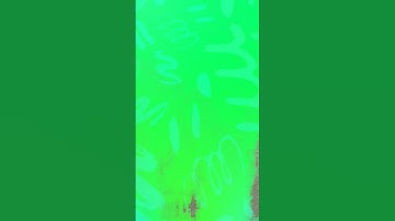 Munger University ka exam routine change BA part 2