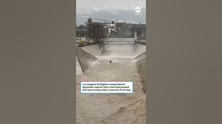 Los Angeles firefighters rescue man who was trying to save dog from rushing water