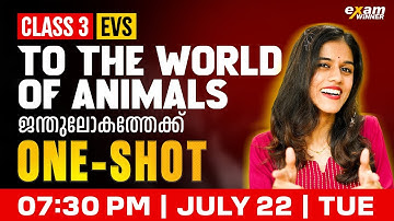 Class 3 EVS | To The world Of Animals / ജന്തുലോകത്തേക്ക് | Oneshot | Exam Winner
