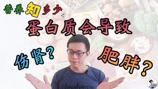 【营养保健】蛋白质容易导致肥胖 ？会伤肾 ？| 蛋白质 肥胖 | 营养你不知道的事