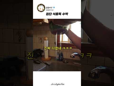 여름 <strong>수박</strong> 무조건 확인해야 하는 부분
