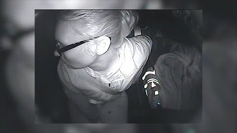 Nieuw bewijsmateriaal vrijgegeven in dodelijk buggy-ongeluk in Fillmore County; tweeling Petersen...