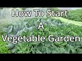 How to prepare a vegetable plot