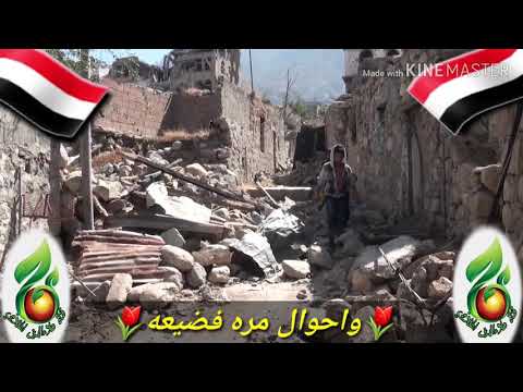 شيله الوطن ضاع ضاع