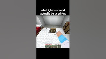 Minecraft Igloo Moment