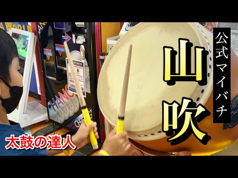 公式マイバチ山吹が届いたドン【太鼓の達人,小学生,ドンだー