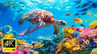 Ocean 4K - Sea Animals for Relaxation 🎵 Beautiful Coral Reef Fish in Underwater 🐠 4K Video Ultra HD