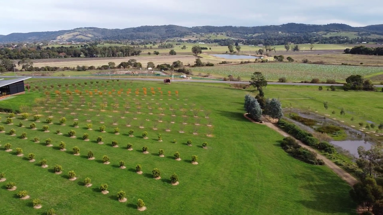 Yarra Valley Chocolaterie YouTube